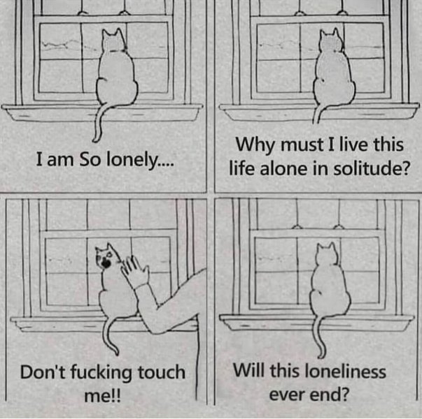 Thumbnail of p-c3awicepzfw-1faff30367984877 0