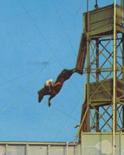 Thumbnail of p-c698lmxodqf-5635e674edbd44a1 1