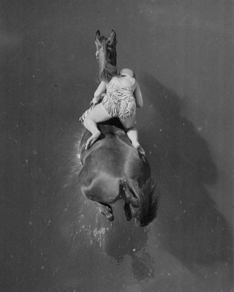 Thumbnail of p-c698lmxodqf-5635e674edbd44a1 3