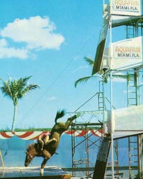 Thumbnail of p-c698lmxodqf-5635e674edbd44a1 7