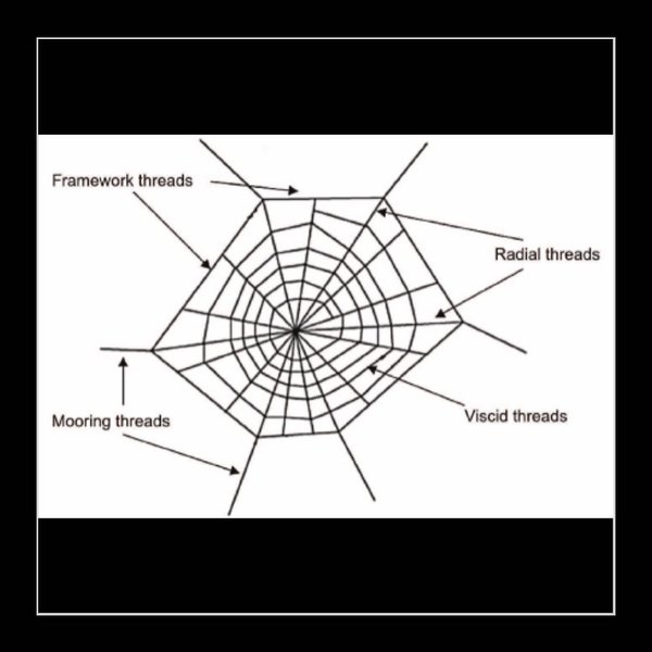 Thumbnail of p-cghstfdlwi4-8356a0df0140446f 0