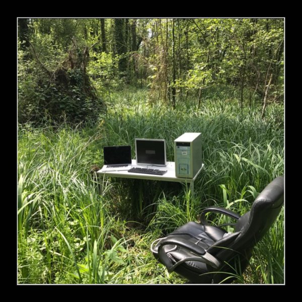 Thumbnail of p-cghstfdlwi4-8356a0df0140446f 8