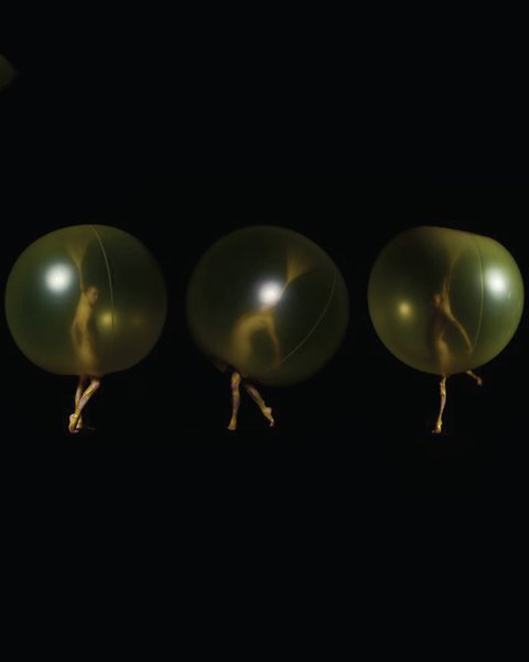 Thumbnail of p-dmarmanxrof-897227bc4a094815 13
