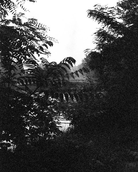 Thumbnail of p-b5szrvmqt32-9791ffd6c38149a6 5