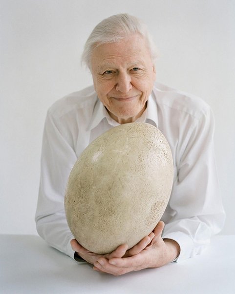 Thumbnail of djaa-9jpcdh-dad5bb85d1424e94 11