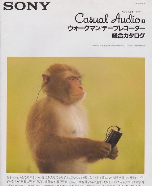 Thumbnail of p-c49fycdsyqy-db0342d4f24446a0 2