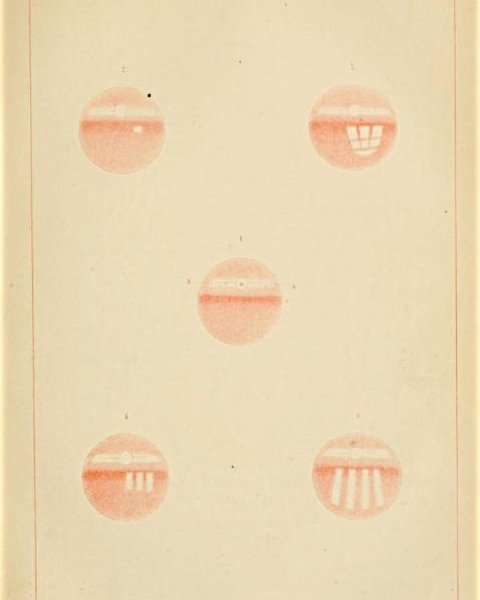 Thumbnail of p-cpxvwodtauh-dd9571e6f6b048f5 2