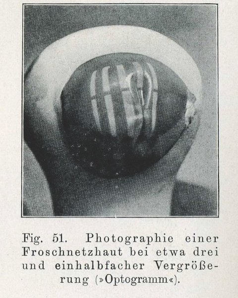 Thumbnail of p-cpxvwodtauh-dd9571e6f6b048f5 3