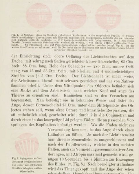 Thumbnail of p-cpxvwodtauh-dd9571e6f6b048f5 4