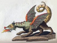 Thumbnail of Dragon - Wikipedia
