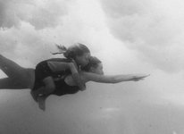Thumbnail of Rise, Risen, Rose